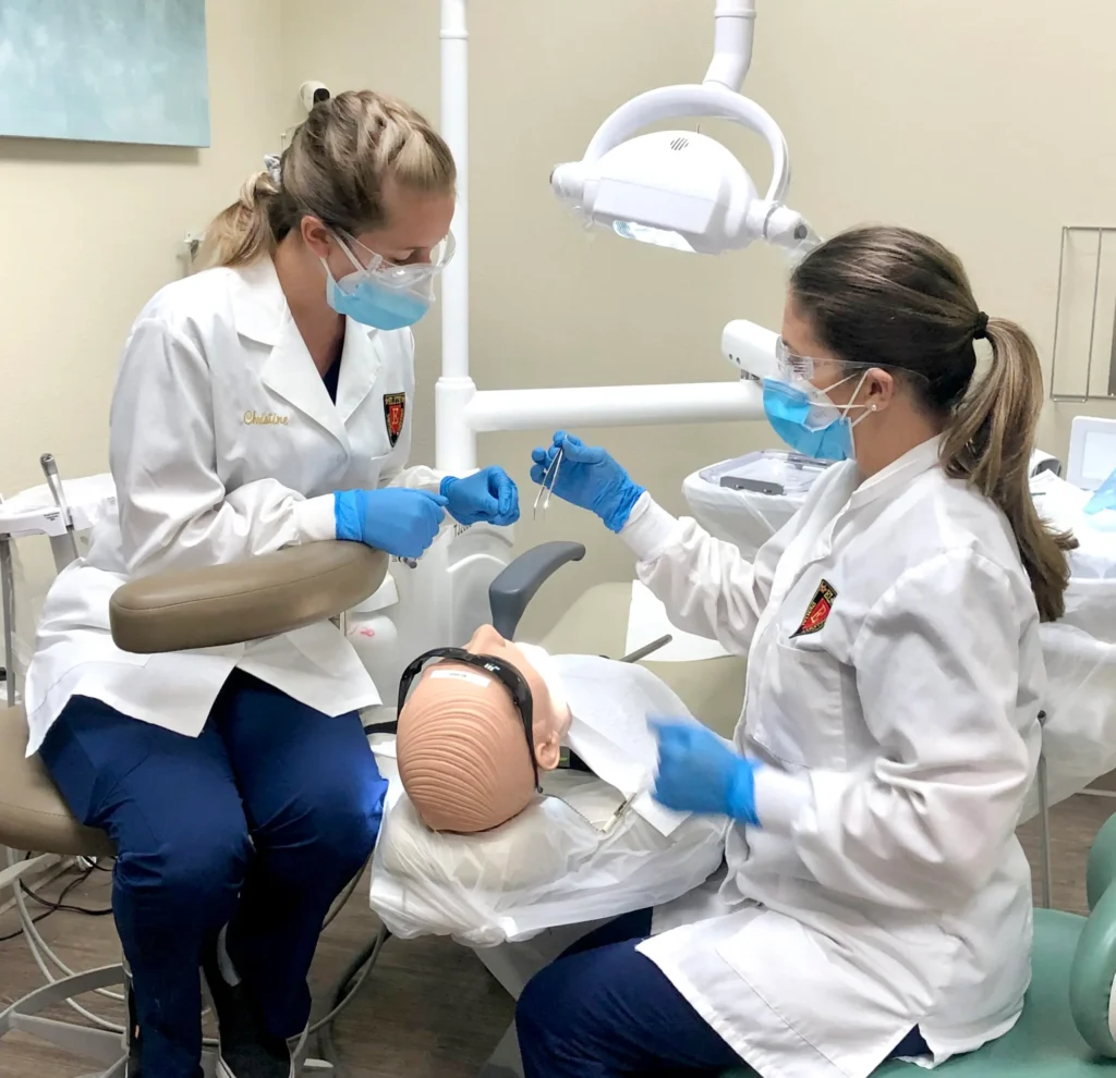 Two dentists working on a dental model.