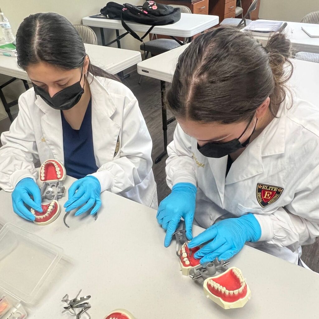 Two women in lab coats and masks working on a model.