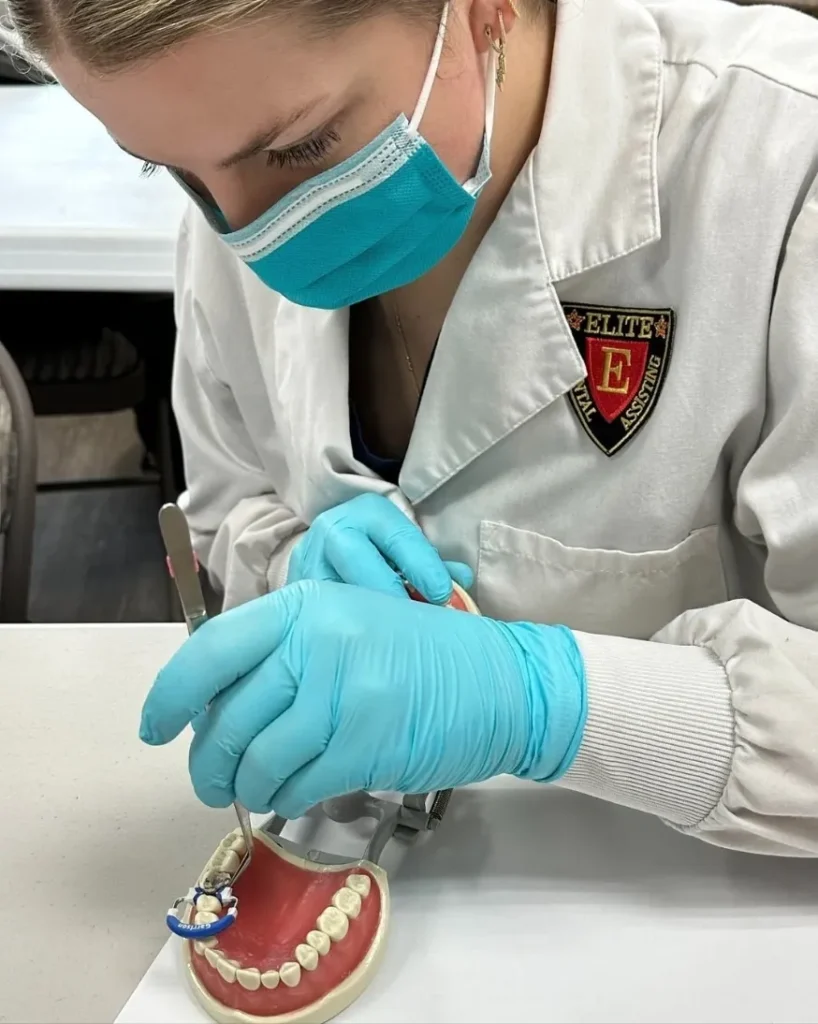 Dental student practicing on a tooth model.