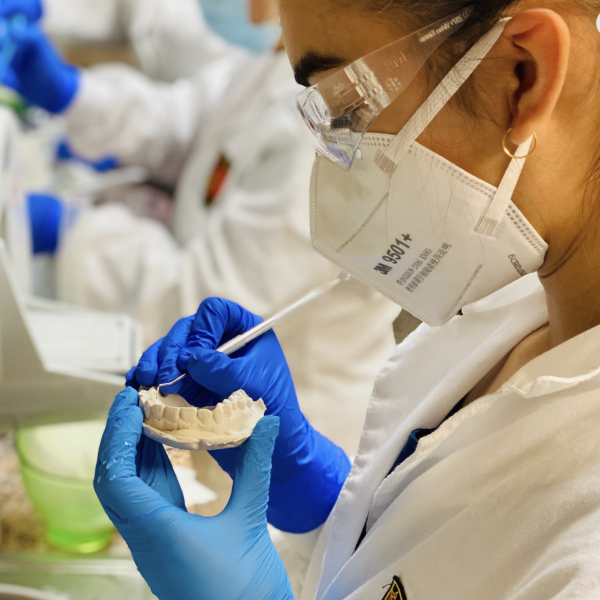 Screenshot 2026-01-19 at 1.36.29 PM