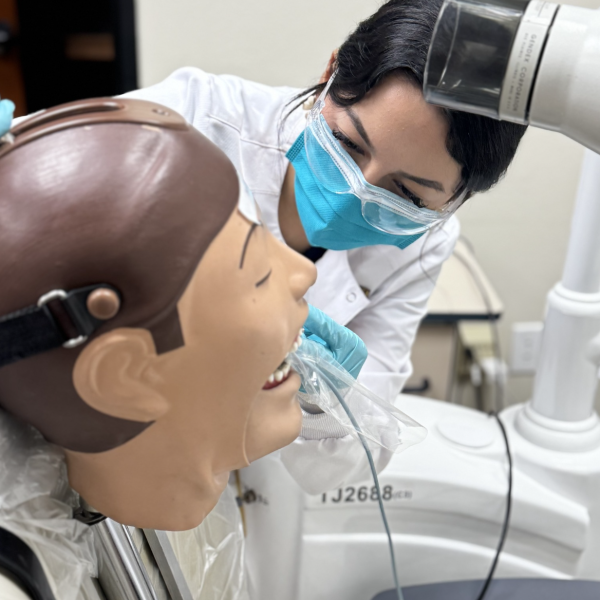 Screenshot 2026-01-19 at 1.46.29 PM